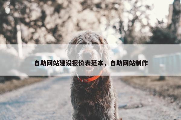 自助网站建设报价表范本，自助网站制作-第1张图片-冷动云