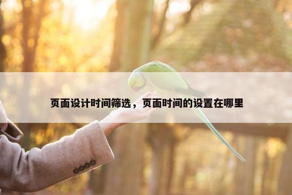 页面设计时间筛选，页面时间的设置在哪里-第1张图片-冷动云