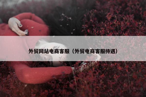 外贸网站电商客服（外贸电商客服待遇）-第1张图片-冷动云