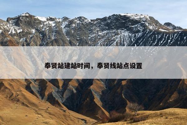 奉贤站建站时间，奉贤线站点设置-第1张图片-冷动云
