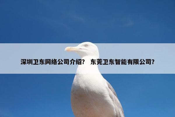 深圳卫东网络公司介绍？ 东莞卫东智能有限公司？-第1张图片-冷动云