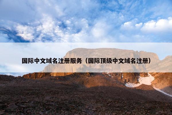 国际中文域名注册服务（国际顶级中文域名注册）-第1张图片-冷动云