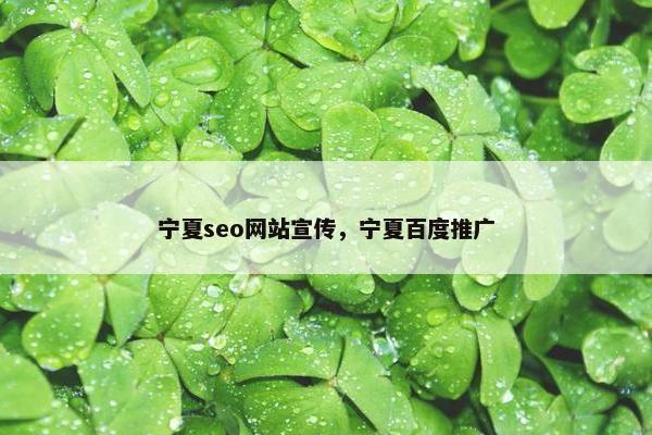宁夏seo网站宣传，宁夏百度推广-第1张图片-冷动云