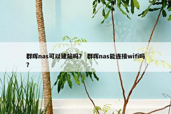 群晖nas可以建站吗？ 群晖nas能连接wifi吗？-第1张图片-冷动云