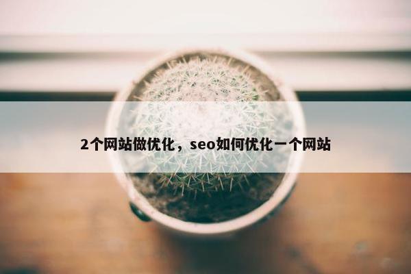 2个网站做优化，seo如何优化一个网站-第1张图片-冷动云