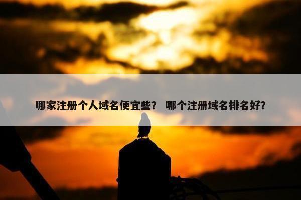 哪家注册个人域名便宜些？ 哪个注册域名排名好？-第1张图片-冷动云