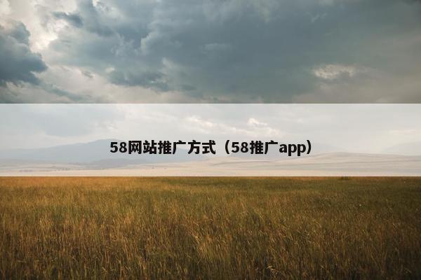 58网站推广方式（58推广app）-第1张图片-冷动云