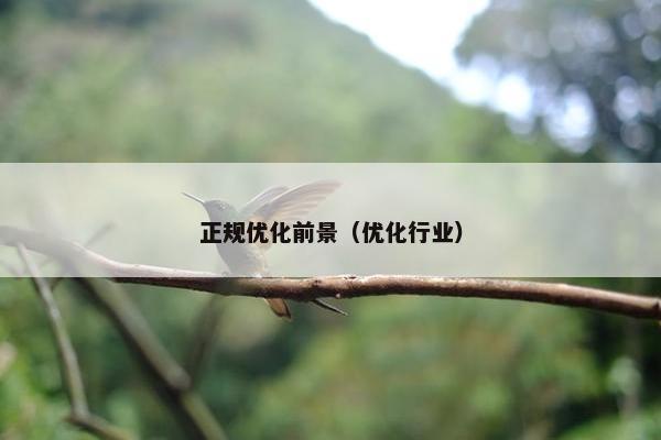 正规优化前景（优化行业）-第1张图片-冷动云