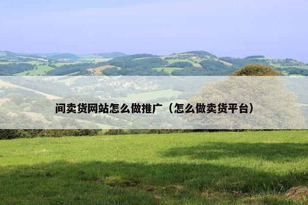 间卖货网站怎么做推广（怎么做卖货平台）-第1张图片-冷动云