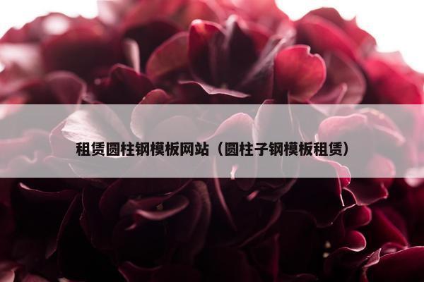 租赁圆柱钢模板网站（圆柱子钢模板租赁）-第1张图片-冷动云