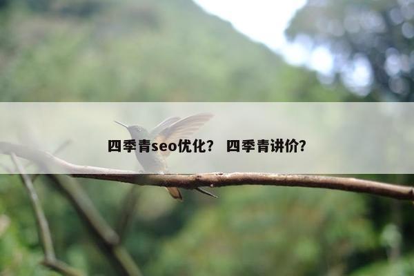 四季青seo优化？ 四季青讲价？-第1张图片-冷动云