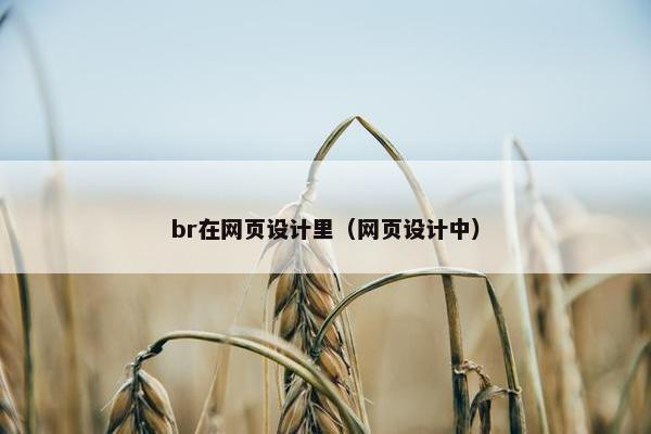 br在网页设计里（网页设计中）-第1张图片-冷动云