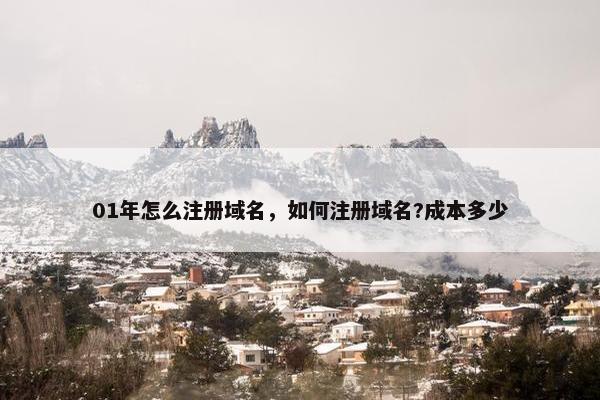 01年怎么注册域名，如何注册域名?成本多少-第1张图片-冷动云