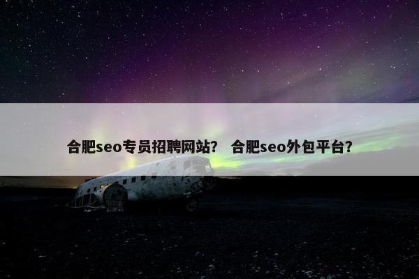 合肥seo专员招聘网站？ 合肥seo外包平台？-第1张图片-冷动云