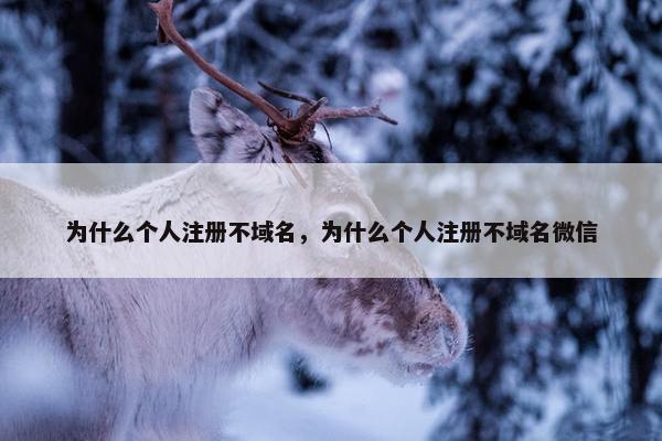 为什么个人注册不域名，为什么个人注册不域名微信-第1张图片-冷动云