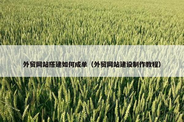 外贸网站搭建如何成单（外贸网站建设制作教程）-第1张图片-冷动云