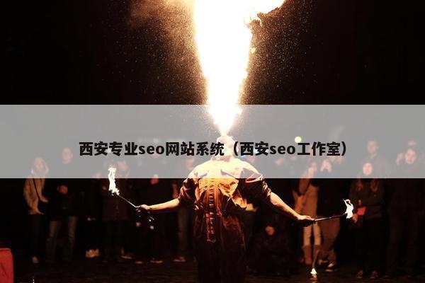 西安专业seo网站系统（西安seo工作室）-第1张图片-冷动云