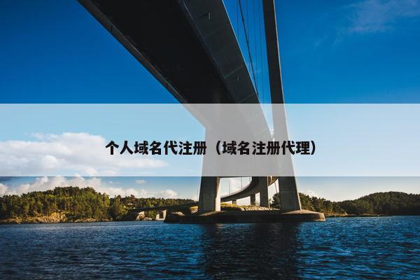 个人域名代注册（域名注册代理）-第1张图片-冷动云
