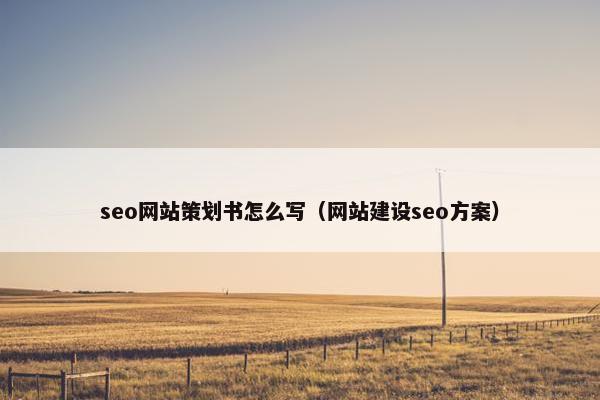 seo网站策划书怎么写（网站建设seo方案）-第1张图片-冷动云