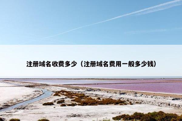 注册域名收费多少（注册域名费用一般多少钱）-第1张图片-冷动云