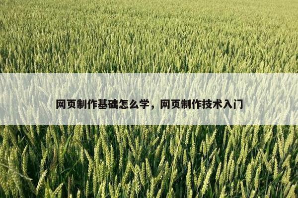 网页制作基础怎么学，网页制作技术入门-第1张图片-冷动云