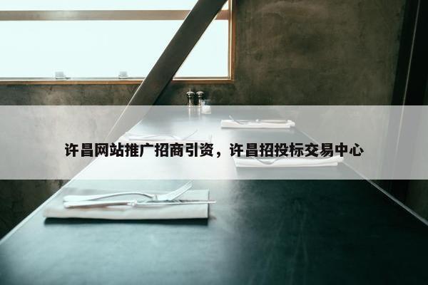 许昌网站推广招商引资，许昌招投标交易中心-第1张图片-冷动云