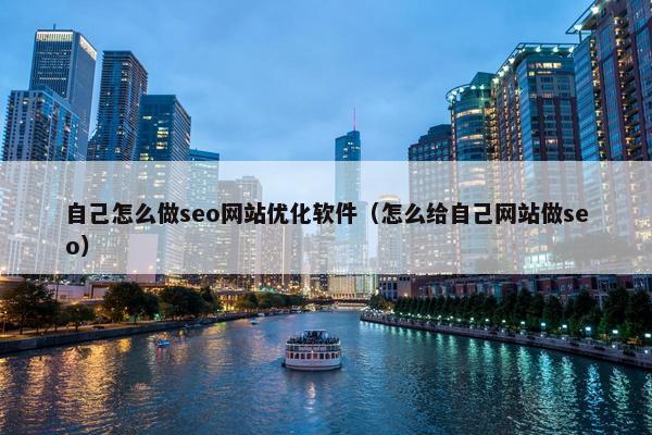 自己怎么做seo网站优化软件（怎么给自己网站做seo）-第1张图片-冷动云