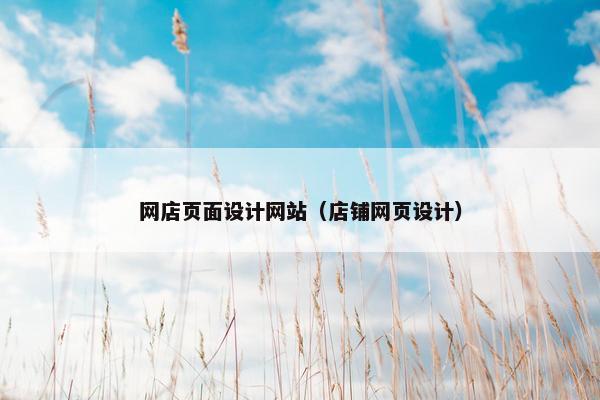 网店页面设计网站（店铺网页设计）-第1张图片-冷动云
