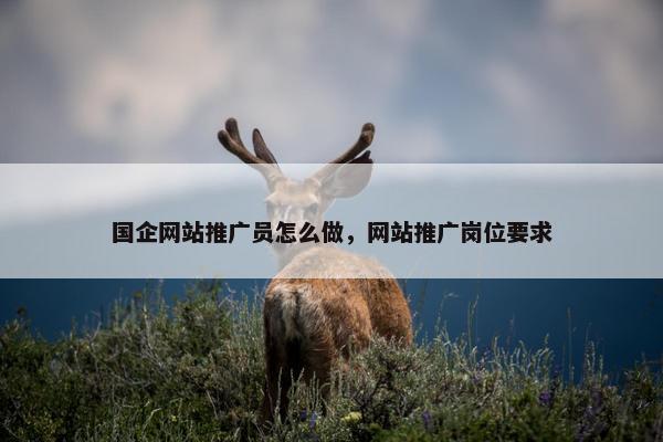国企网站推广员怎么做，网站推广岗位要求-第1张图片-冷动云