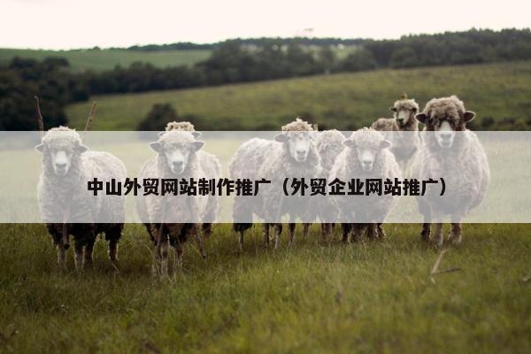 中山外贸网站制作推广（外贸企业网站推广）-第1张图片-冷动云