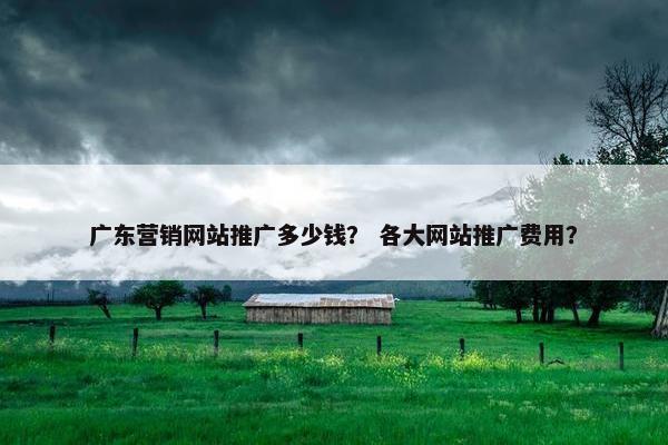 广东营销网站推广多少钱？ 各大网站推广费用？-第1张图片-冷动云