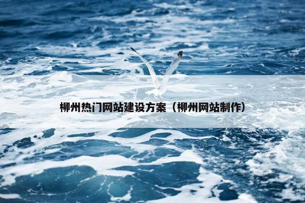 柳州热门网站建设方案（柳州网站制作）-第1张图片-冷动云