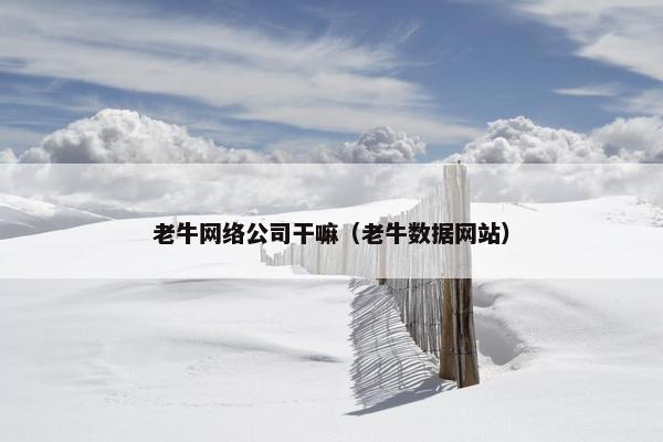 老牛网络公司干嘛（老牛数据网站）-第1张图片-冷动云