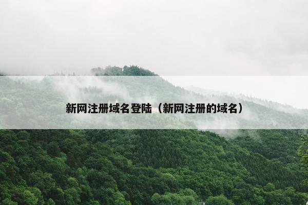 新网注册域名登陆（新网注册的域名）-第1张图片-冷动云