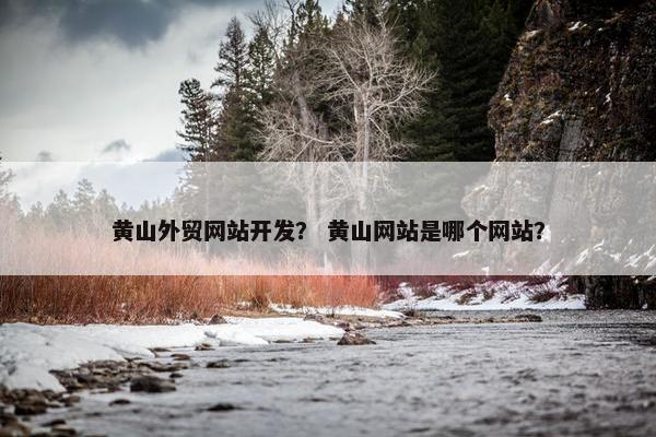 黄山外贸网站开发？ 黄山网站是哪个网站？-第1张图片-冷动云