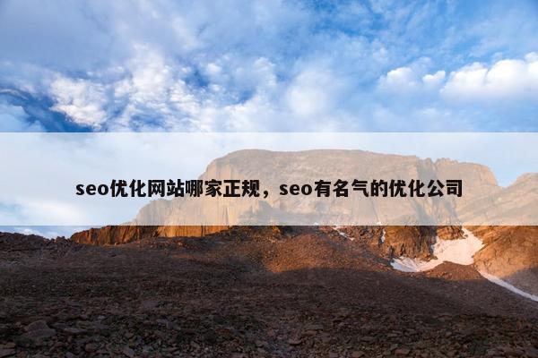 seo优化网站哪家正规，seo有名气的优化公司-第1张图片-冷动云