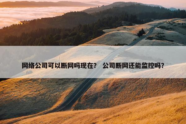 网络公司可以断网吗现在？ 公司断网还能监控吗？-第1张图片-冷动云
