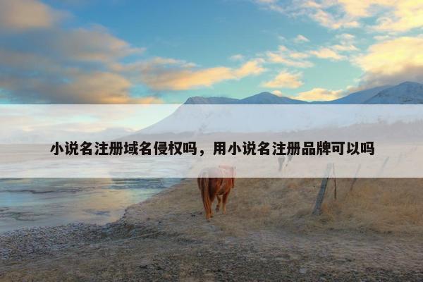 小说名注册域名侵权吗，用小说名注册品牌可以吗-第1张图片-冷动云