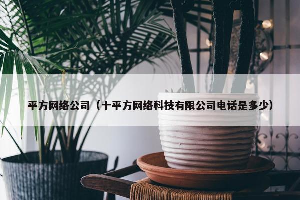 平方网络公司（十平方网络科技有限公司电话是多少）-第1张图片-冷动云