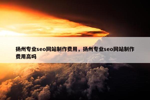 扬州专业seo网站制作费用，扬州专业seo网站制作费用高吗-第1张图片-冷动云