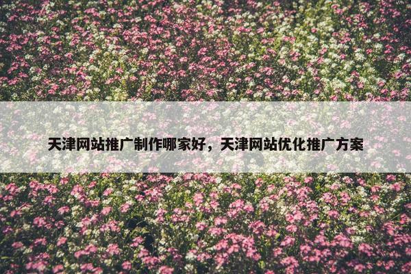 天津网站推广制作哪家好，天津网站优化推广方案-第1张图片-冷动云
