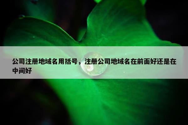 公司注册地域名用括号，注册公司地域名在前面好还是在中间好-第1张图片-冷动云