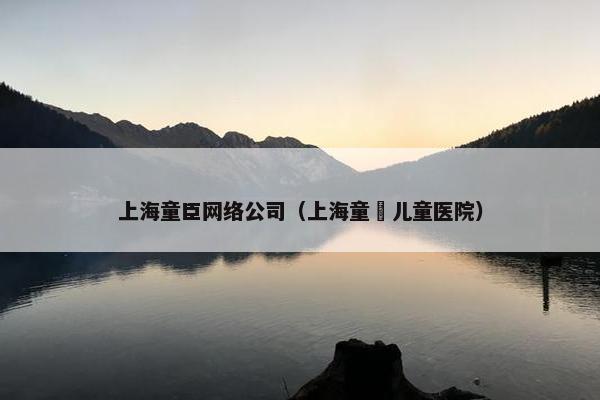 上海童臣网络公司（上海童韾儿童医院）-第1张图片-冷动云