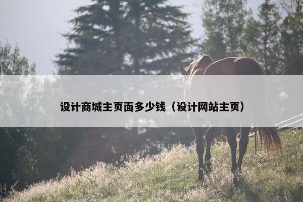 设计商城主页面多少钱（设计网站主页）-第1张图片-冷动云