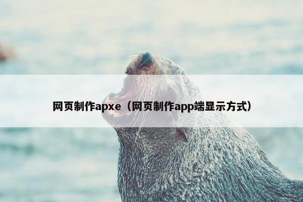 网页制作apxe（网页制作app端显示方式）-第1张图片-冷动云