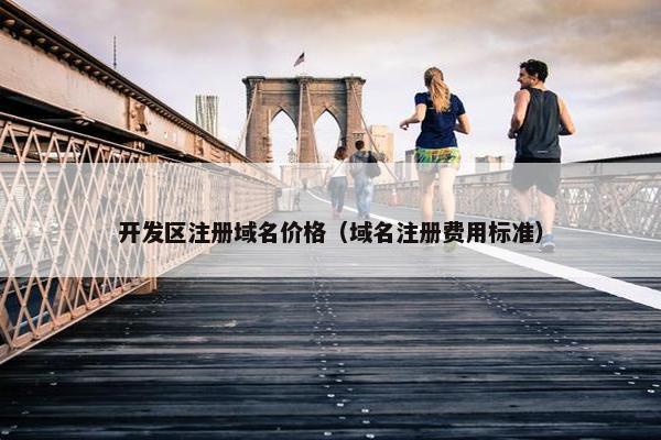 开发区注册域名价格（域名注册费用标准）-第1张图片-冷动云