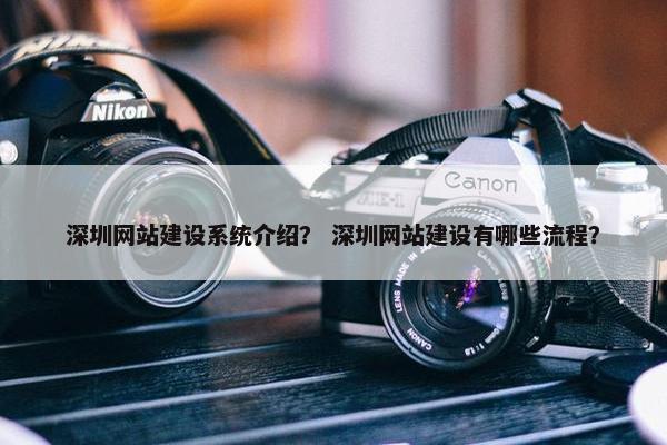 深圳网站建设系统介绍？ 深圳网站建设有哪些流程？-第1张图片-冷动云