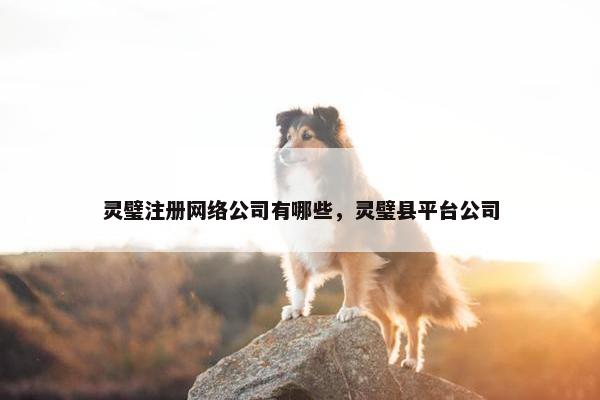 灵璧注册网络公司有哪些，灵璧县平台公司-第1张图片-冷动云