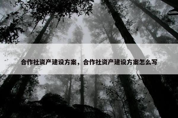 合作社资产建设方案，合作社资产建设方案怎么写-第1张图片-冷动云