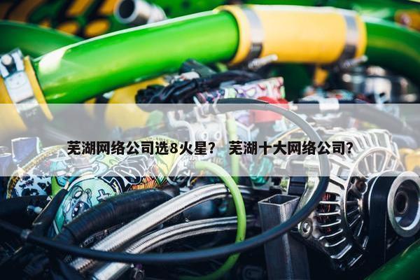 芜湖网络公司选8火星？ 芜湖十大网络公司？-第1张图片-冷动云